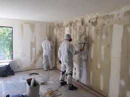 Best Emergency Mold Remediation  in De Leon Springs, FL